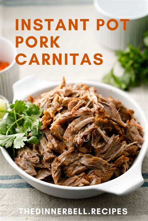 rick bayless recipes carnitas - Susana Smothers