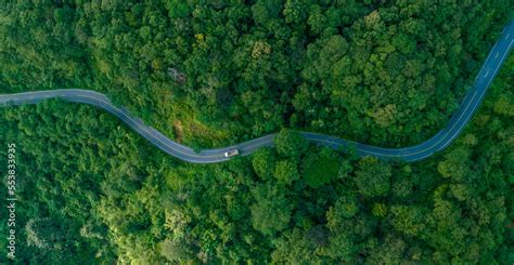 Aerial view of road in the middle of the forest , Top view road curve ...