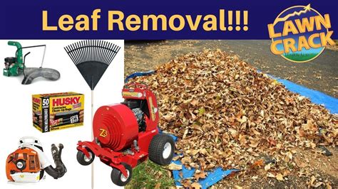 Leaf Removal 🍂 Tips, Tricks, and How to Price Leaf Cleanup Services ...