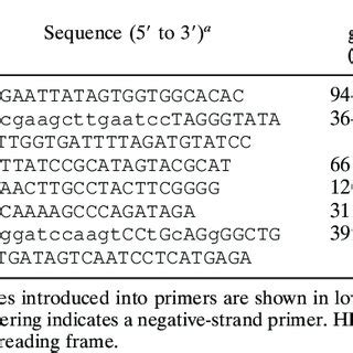 Histopathology of the brains of C57BL/6 mice infected with recombinant ...