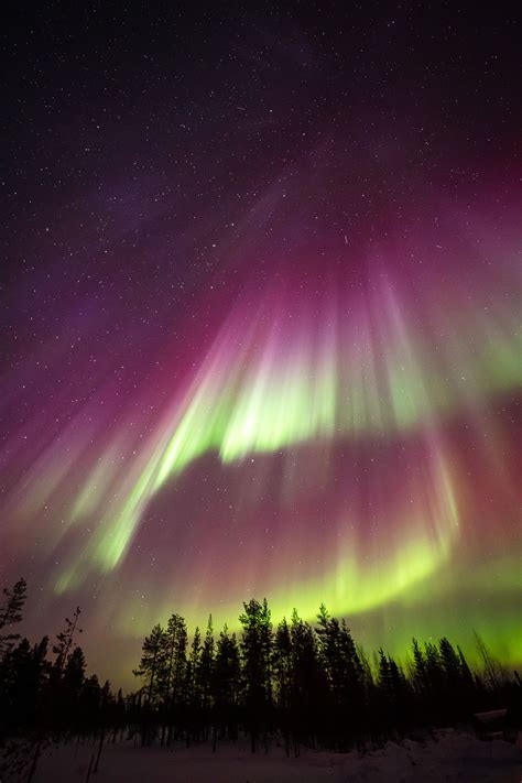 Northern Lights photos: 10 shots of Aurora Borealis from March 2023