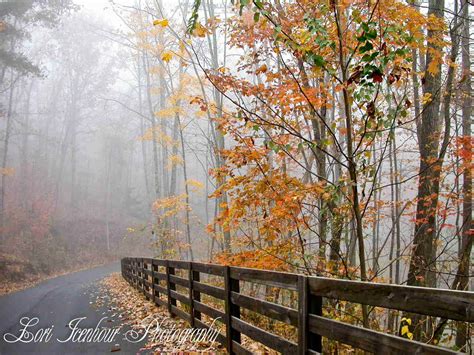 Dahlonega Georgia Dahlonega Georgia, Dawsonville, Georgia On My Mind ...