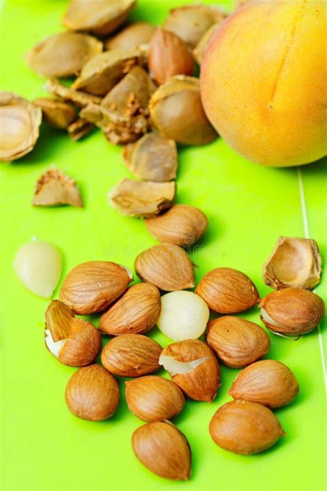 Apricot and pits stock image. Image of ingredient, shells - 26554791