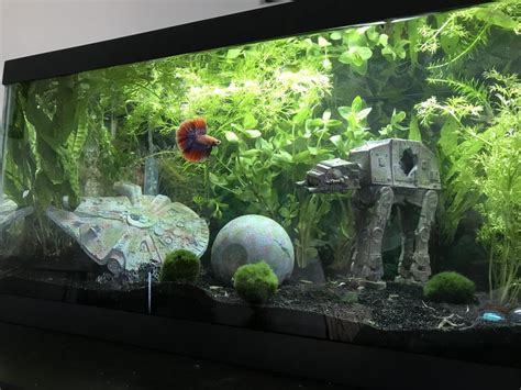 My 20 gallon long Star Wars fish tank! Appearance by my betta Poe. :) Got the decor at my ...