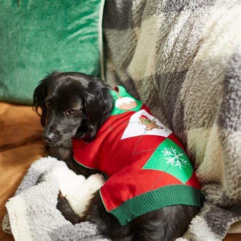 15 Best Dog Christmas Sweaters - Cute Christmas Sweaters and Outfits for Large and Small Dogs