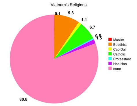 Image - Vietnamese Religion Pie Chart.jpeg | Future | FANDOM powered by Wikia