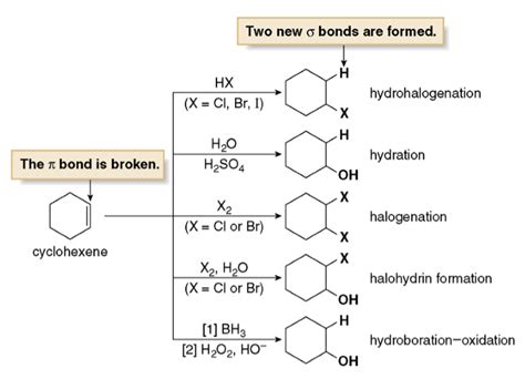 Cycloalkenes - Organic Chemistry