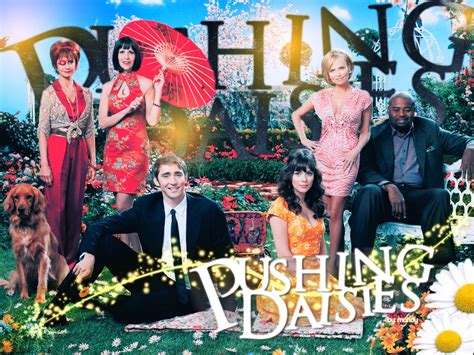 Pushing Daisies Wallpaper by ~mandy-x on deviantART | Pushing daisies ...