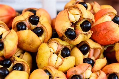 Fruits with black seeds - Food Keg