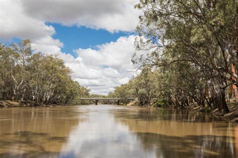 Murrumbidgee River - Visit Griffith