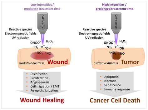 Cold Atmospheric Pressure Plasma in Wound Healing and Cancer Treatment