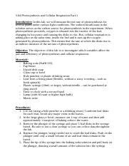 3.04 Photosynthesis lab AP Bio.docx - 3.04 Photosynthesis and Cellular Respiration Part:1 ...