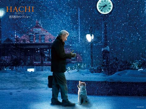 Hachiko A Dog's Story - Hachiko A Dog's Story Photo (14893604) - Fanpop