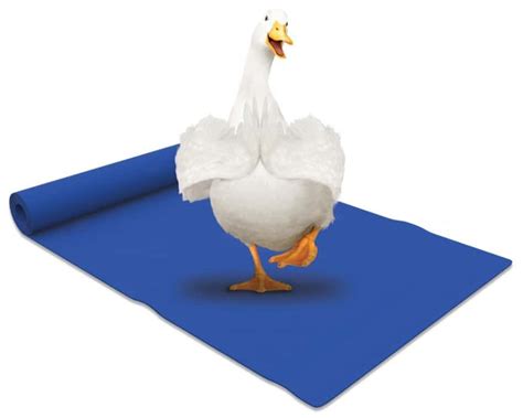 Aflac’s “Duck Does Yoga” Campaign with Kelly Rutherford and Kristen McGee - The Mama Maven Blog