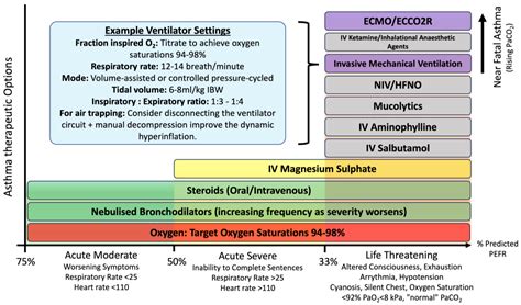 Applied Sciences | Free Full-Text | Management of Acute Life-Threatening Asthma Exacerbations in ...