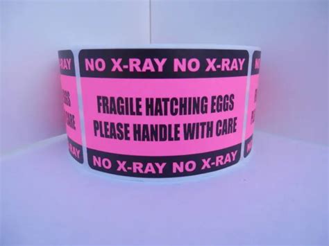 50 CUT/FOLD STICKERS labels 2X3, pink, FRAGILE when HANDLING HATCHING EGGS $9.45 - PicClick