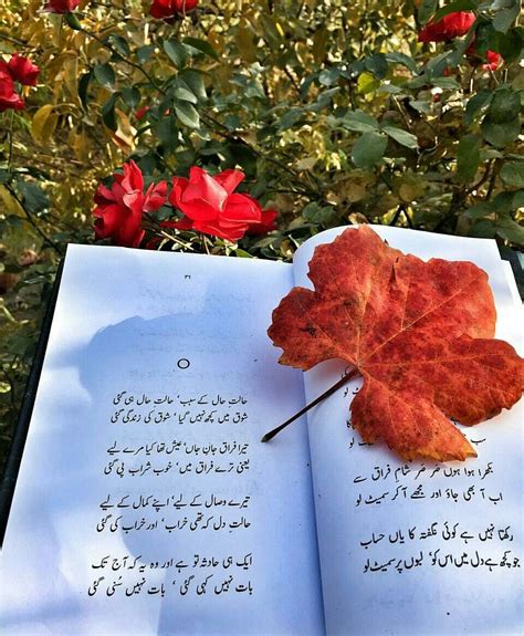 Pin by Abu Bakar Gulzar on Jaun Elia | Poetry collection, Book cover, Poetry