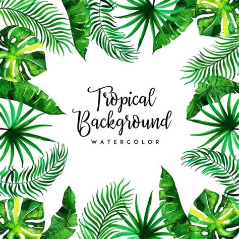 Watercolor Tropical Floral And Leaves Background, Green, Backdrop ...