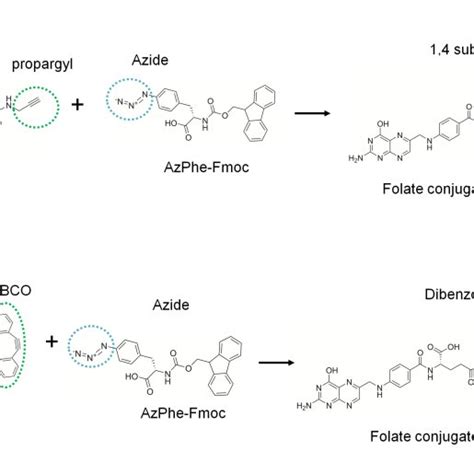 Synthesis procedure for peptide conjugates. (A) N-terminal peptide ...