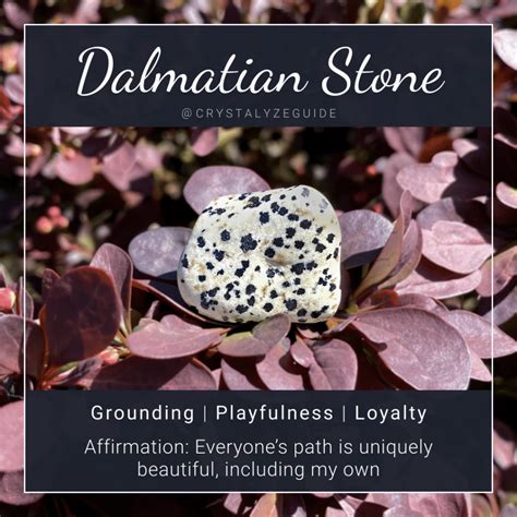 Dalmatian Stone Meaning, Properties & Chakras | Crystalyze