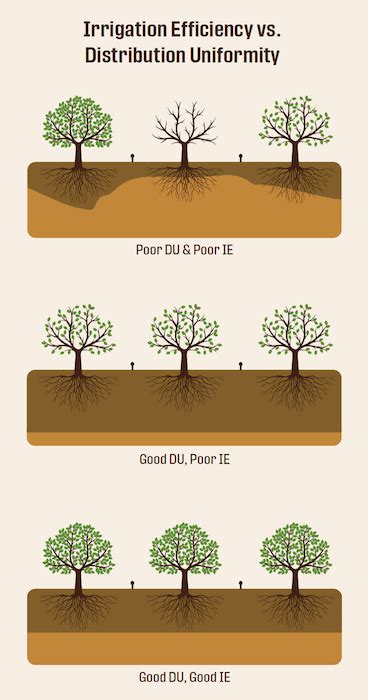 Understanding the principles of irrigation efficiency in pistachio ...