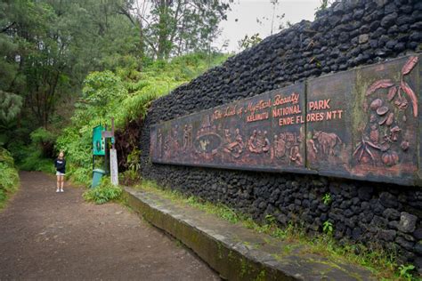 A Practical Guide to Visiting Kelimutu National Park: The Land of Mystical Beauty - Museum of Wander