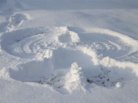 Snow Angel, Bozeman,Mt | Snow angels, Snow, Bozeman mt