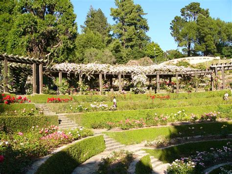 9 Best Gardens in San Francisco | Botanical Gardens in San Francisco