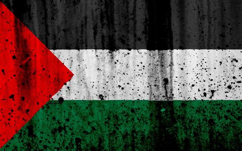 Palestine Flag Wallpapers - Top Free Palestine Flag Backgrounds ...