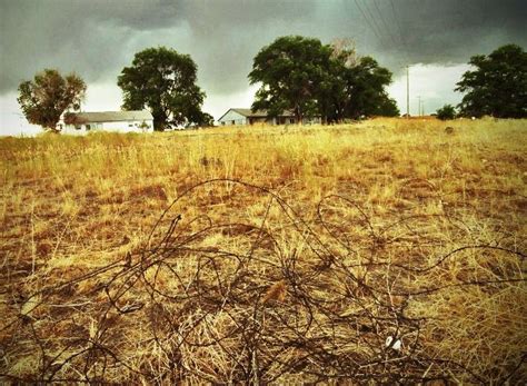 Ghost town: The Minidoka Japanese internment camp in Idaho