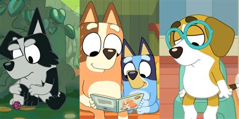 The Best Characters In Bluey