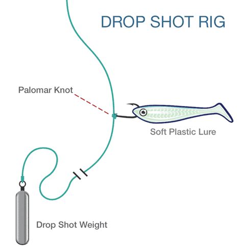 Drop Shot Rig Fishing: How to Setup & Fish