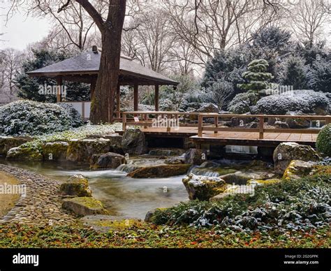 Winter in the Japanese Garden, Augsburg Botanical Garden Stock Photo - Alamy