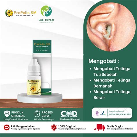 Obat Penyakit Telinga Berkhasiat, Obat Telinga Berdengung, Berdarah, Bernanah, Berair, Gendang ...