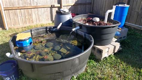 300 gallon stock tank pond with bog filter December 2023 - YouTube