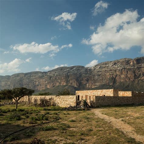 A precarious living on the Yemeni island of Socotra | | Al Jazeera