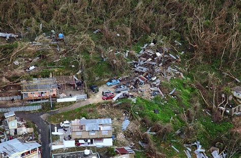 Hurricane Maria Caused Unprecedented Damage to Puerto Rican Forests