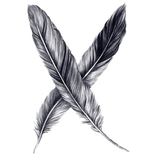 Drawing Feather Pencil Sketch - feather png download - 600*660 - Free Transparent Drawing png ...