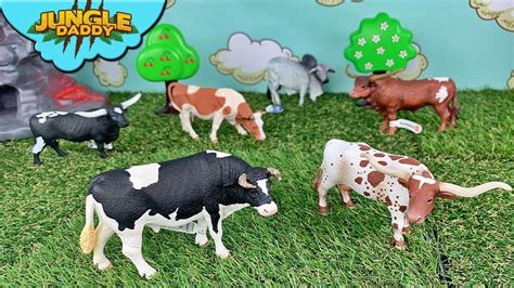 Cows and Bulls Collection!! "Skyheart Toys" schleich cow toys for kids ...