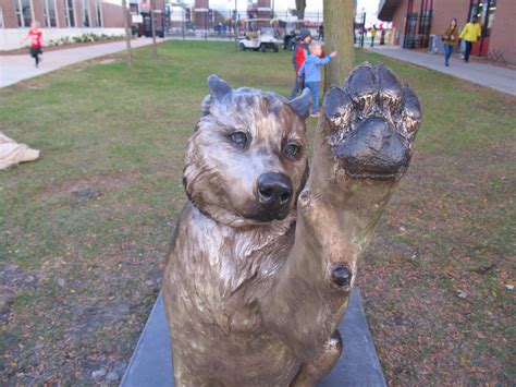 Beloved NIU Mascot Lives On In Bronze | Northern Public Radio: WNIJ and ...