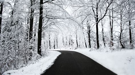 nature, Winter, Snow, Road Wallpapers HD / Desktop and Mobile Backgrounds