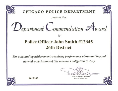 RIBBON AWARDS - ChicagoCop.com