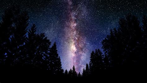 Forest Night Sky Wallpapers - Top Free Forest Night Sky Backgrounds ...