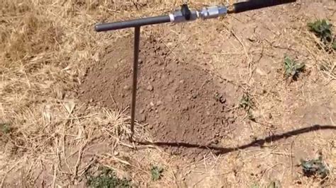 Best Gopher Extermination Method - YouTube