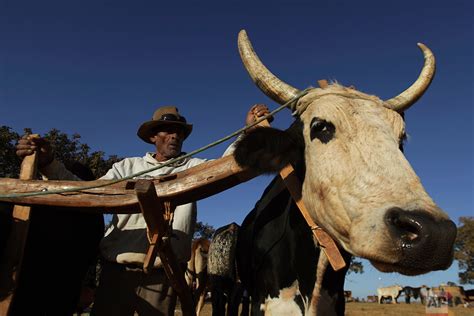 Ox Cart Festival celebrates Brazil colonial days — AP Photos