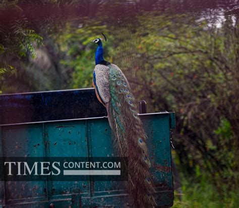 Yamuna Biodiversity Park Feature Photo Yamuna Biodivers...