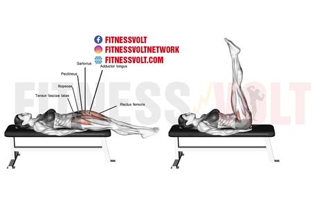 Straight Leg Raise: Strengthen Abs & Hip Flexors Effectively – Fitness Volt