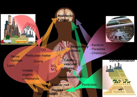 Pollution Information: Effects Of Pollution