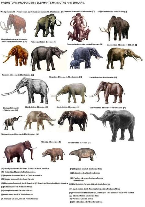 extinct mammals | Animales extinguidos, Prehistórico, Animales prehistóricos