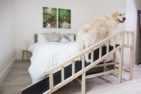 Dog Ramps For Bed - Ideas on Foter